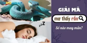 Giải Mã Giấc Mơ Thấy Rắn Cắn Đánh Con Gì Cùng Vz99