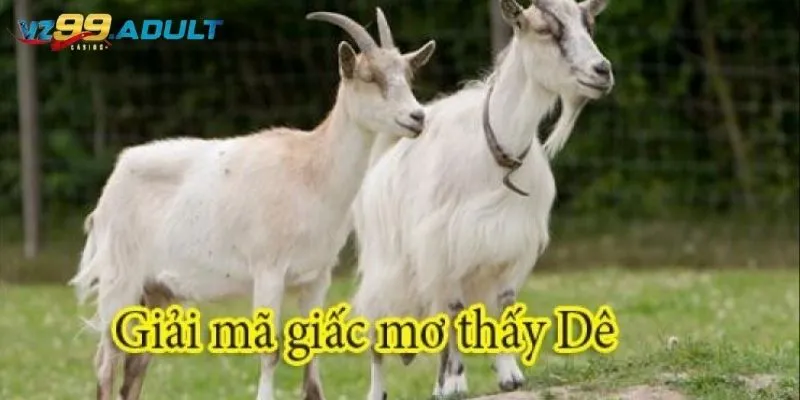 Tra Cứu Mơ Thấy Dê Thì Đánh Con Gì Chuẩn Xác Tại VZ99