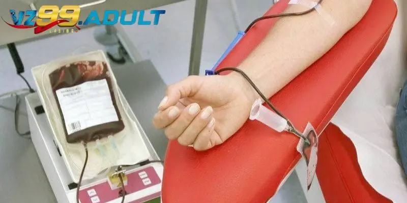 Giải mã giấc mơ thấy máu thì đánh con gì, số lô nào? Giải mã giấc mơ thấy máu thì đánh con gì, số lô nào?