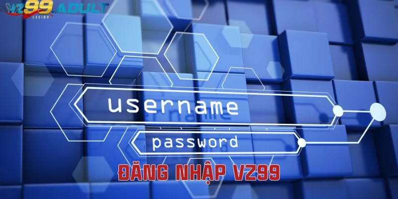 Lưu ý khi đăng nhập VZ99 Lưu ý khi đăng nhập VZ99