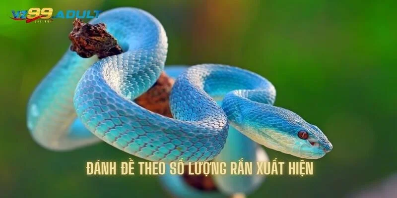 Đánh đề theo số lượng rắn xuất hiện cùng vz99 Đánh đề theo số lượng rắn xuất hiện cùng vz99