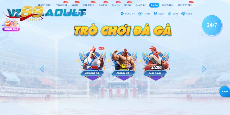 Nhiều trận đấu đá gà kịch tính tại VZ99 Nhiều trận đấu đá gà kịch tính tại VZ99